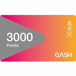 GASH 3000點